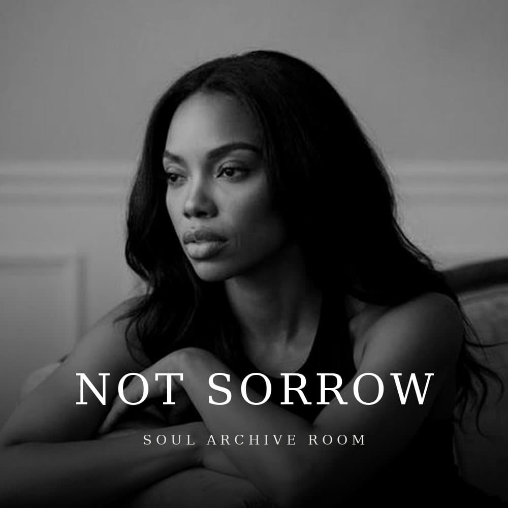Not Sorrow by Lillian